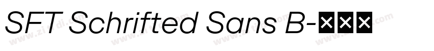 SFT Schrifted Sans B字体转换